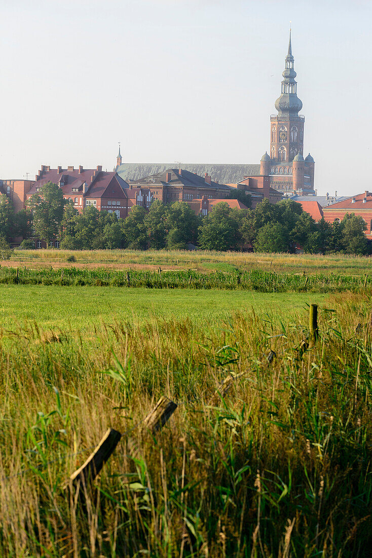 Wide pastures with a view of Dom, Greifswald, Baltic Sea coast, Mecklenburg-Vorpommern, Germany