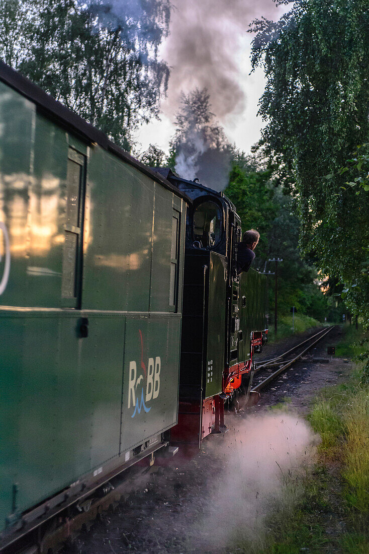 Lokomotivführer der Dampfeisenbahn Rasender Roland, Rügen, Ostseeküste, Mecklenburg-Vorpommern, Deutschland