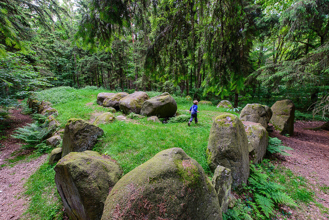 Hünengrab im Everstorfer Forst, Klutzer Winkel, Ostseeküste, Mecklenburg-Vorpommern, Deutschland