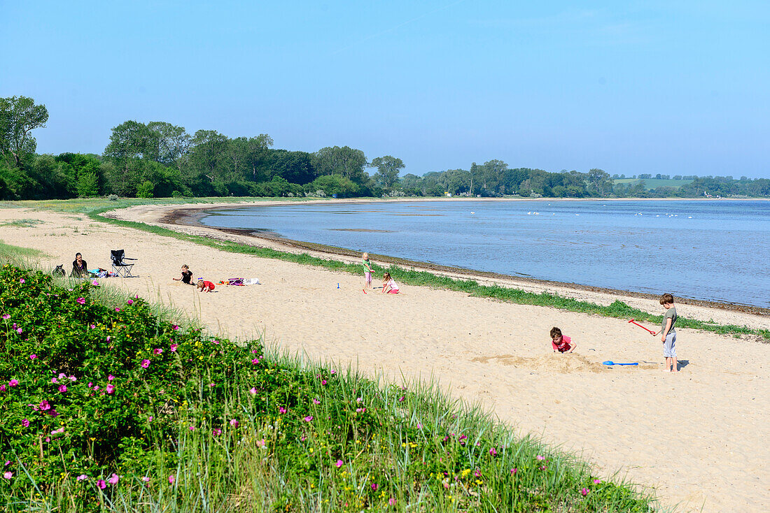 Bay Strand Grüne Wiek, Ostseeküste, Mecklenburg-Vorpommern, Germany