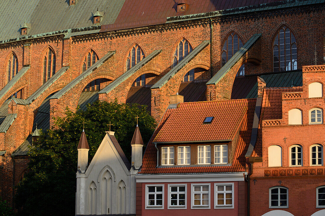 St. Nikolai with houses in front of it at the Old Market, Stralsund, Baltic Sea coast, Mecklenburg-Vorpommern, Germany