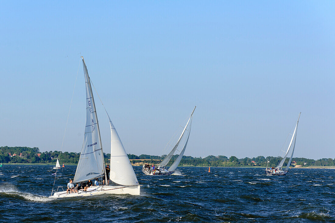 Sailors off Stralsund, Ostseeküste, Mecklenburg-Vorpommern, Germany