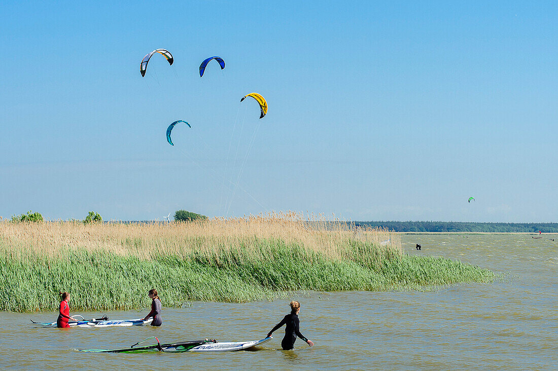 Kitesurfen in Born, Darss, Ostseeküste, Mecklenburg-Vorpommern, Deutschland