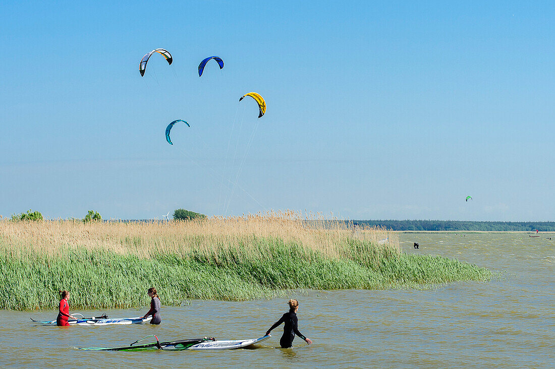 Kitesurfing in Born, Darss , Ostseeküste, Mecklenburg-Western Pomerania, Germany