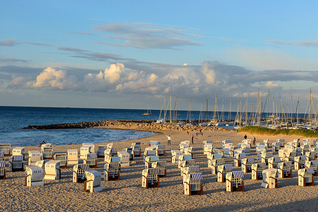 Strandkörbe mit Jachthafen im Hintergrund, Kühlungsborn, Ostseeküste, Mecklenburg-Vorpommern Deutschland