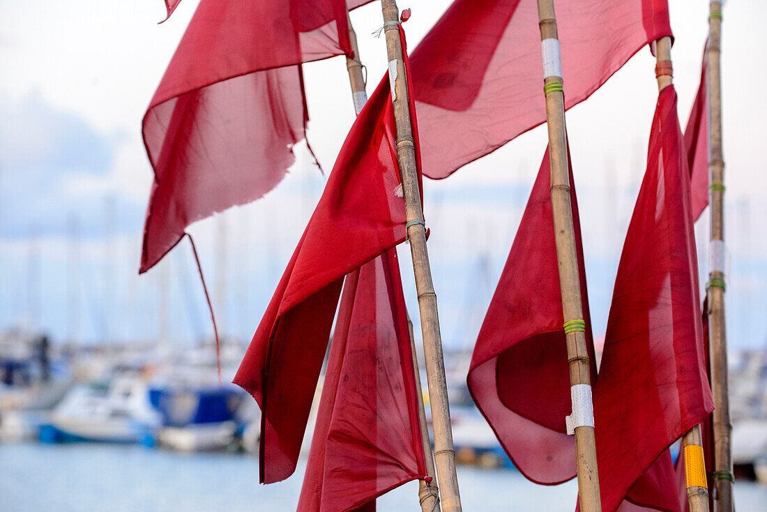 Fahnen von Stellnetzen vom Fischerboot im Jachthafen,  Kühlungsborn, Ostseeküste, Mecklenburg-Vorpommern Deutschland