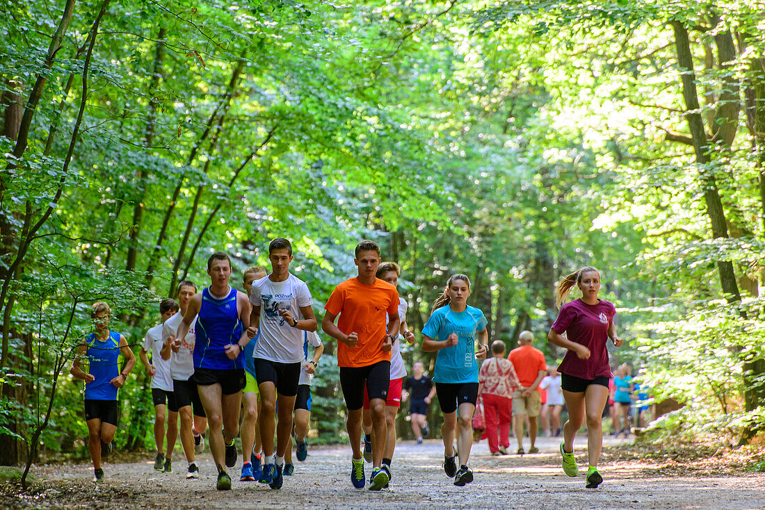 Junge Menschen joggen im National Park, Wollin, Ostseeküste, Polen