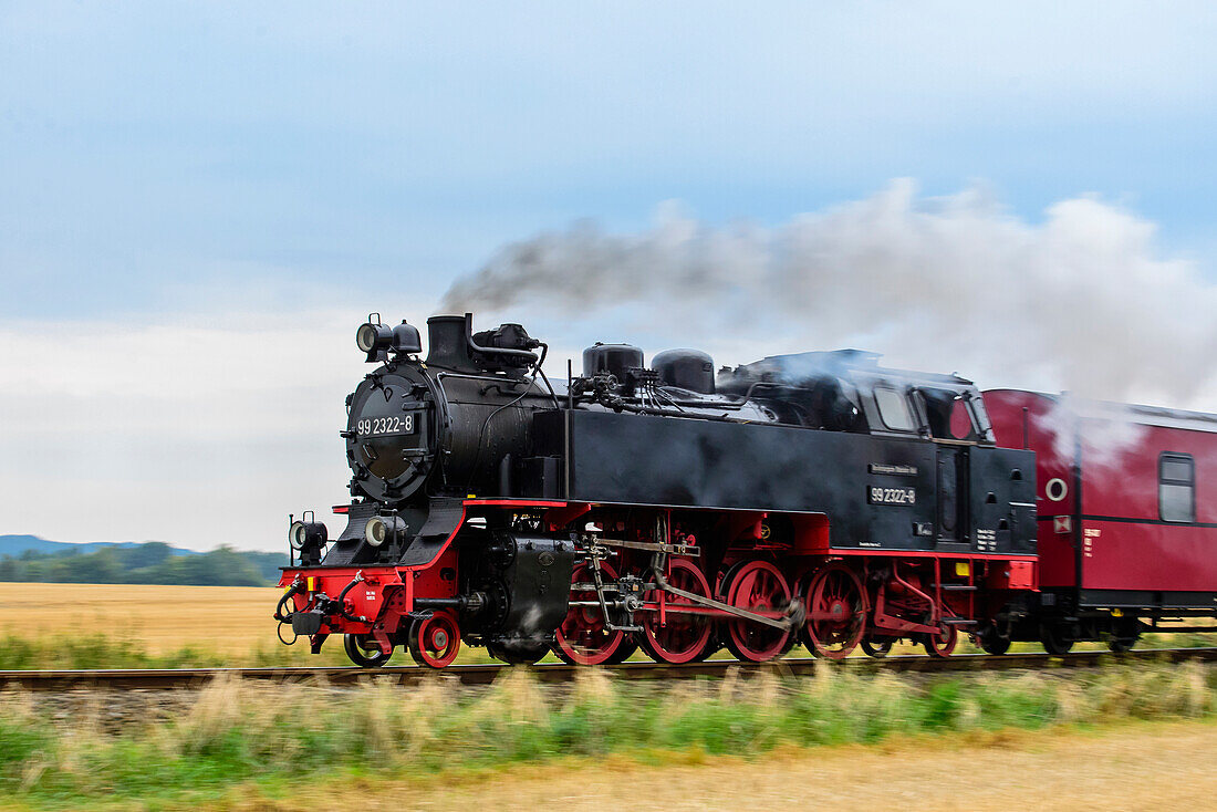 Steam railway runs between Kühlungsborn and Bad Doberan, called Molli, Ostseeküste, Mecklenburg-Western Pomerania, Germany
