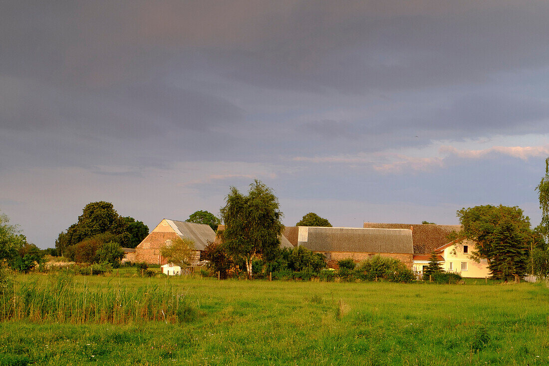 Landscape with farm in Lieper Winkel, Usedom, Ostseeküste, Mecklenburg-Western Pomerania, Germany