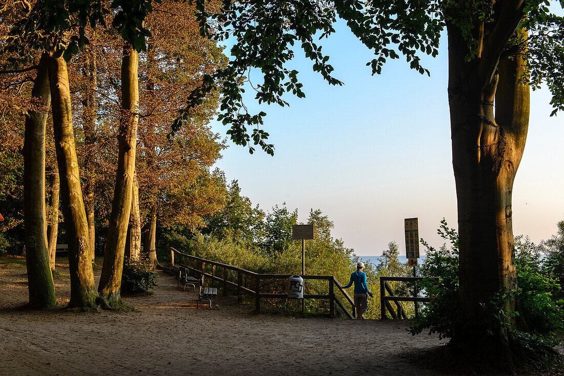 View from the Streckelsberg Klifflinie, Usedom, Ostseeküste, Mecklenburg-Western Pomerania, Germany