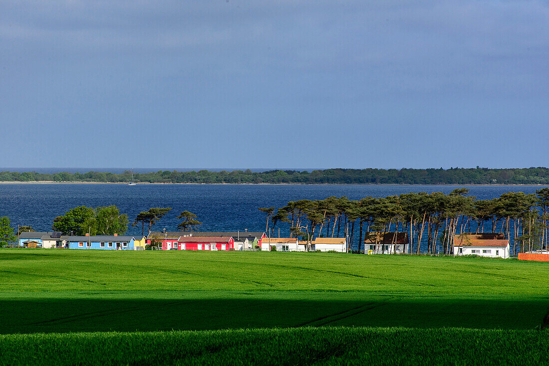 View of Salzhaff and colorful houses, Rerik, Ostseeküste, Mecklenburg-Western Pomerania, Germany