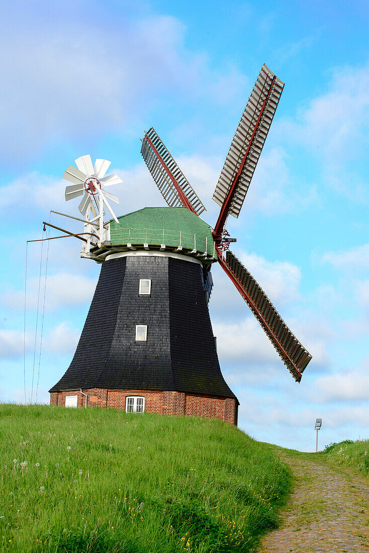 Windmill at Salzhaff, Rerik, Ostseeküste, Mecklenburg-Western Pomerania Germany