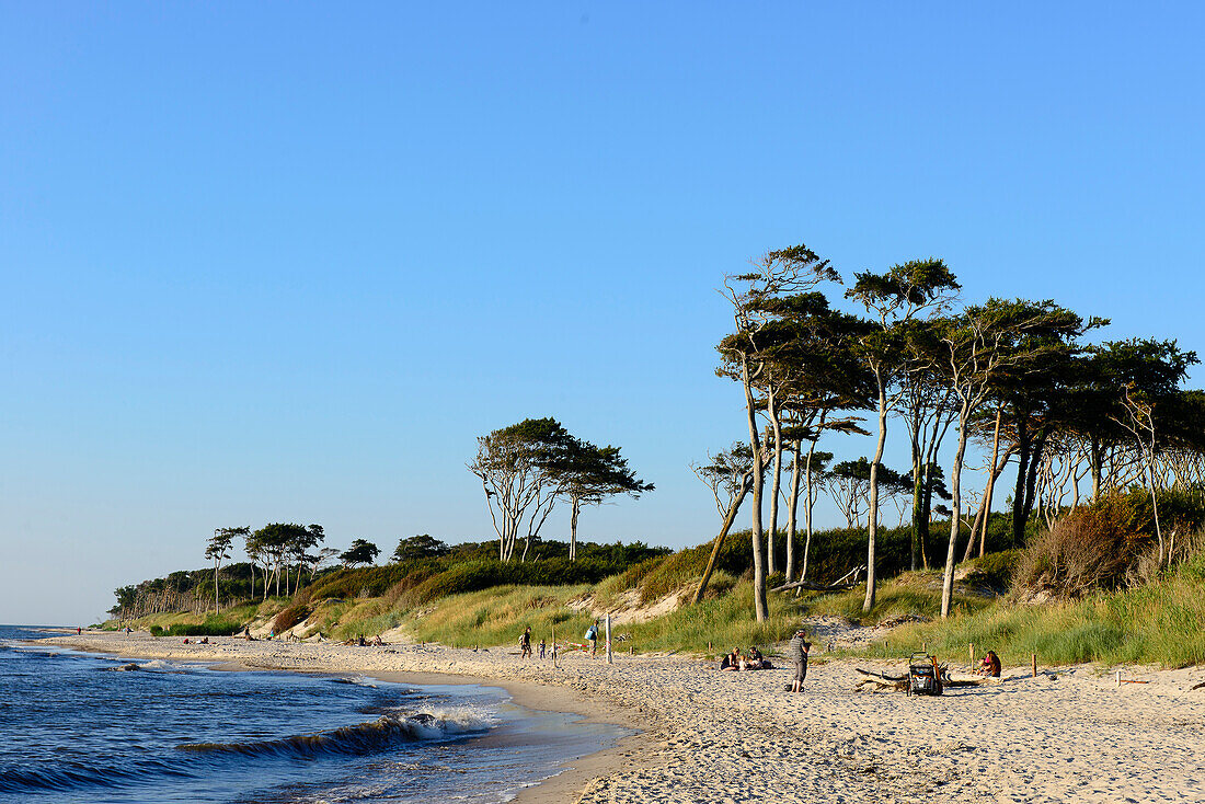 People at Darsser Weststrand, Baltic Sea Coast, Mecklenburg-Western Pomerania Germany