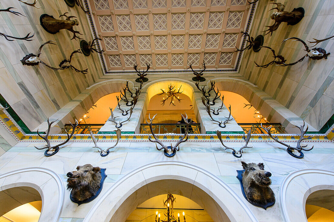 Lobby in the hunting lodge Granitz, Rügen, Ostseeküste, Mecklenburg-Western Pomerania, Germany