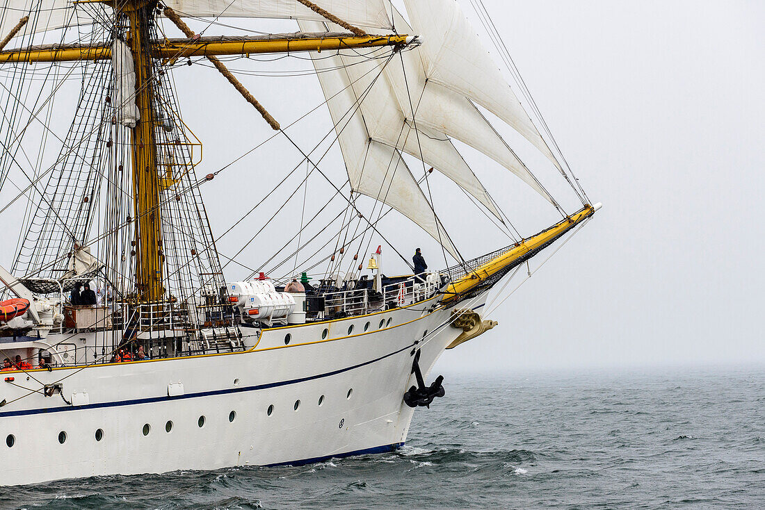 Sailing ships on the Baltic Sea to the Hanse Sail, Rostock, Ostseeküste, Mecklenburg-Western Pomerania, Germany