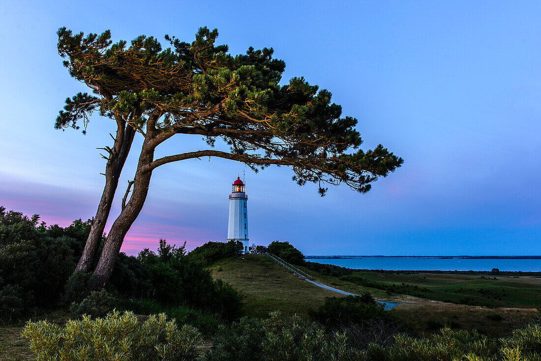 Leuchtturm Dornbusch, Hiddensee, Rügen, Ostseeküste, Mecklenburg-Vorpommern,  Deutschland