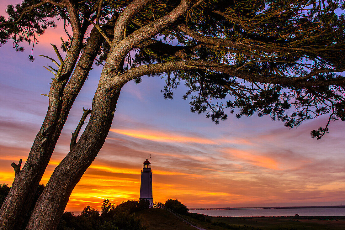 Lighthouse Dornbusch, Hiddensee, Rügen, Baltic Sea Coast, Mecklenburg-Vorpommern, Germany