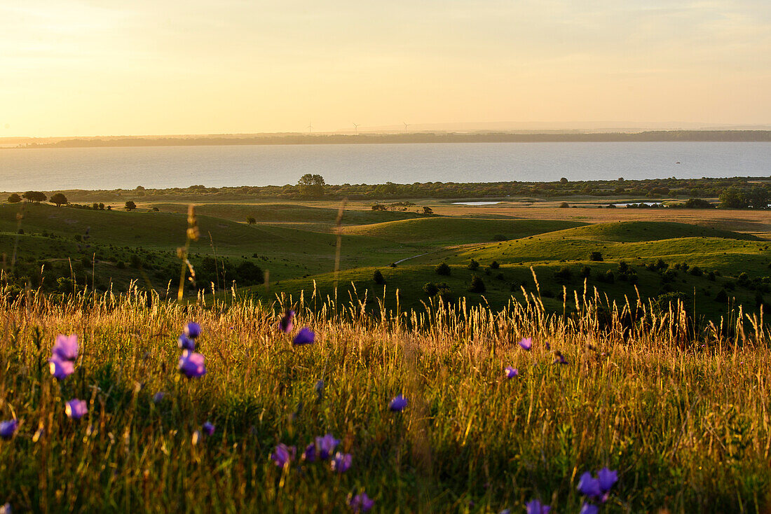 Blick vom Dornbusch, Hiddensee, Rügen, Ostseeküste, Mecklenburg-Vorpommern,  Deutschland