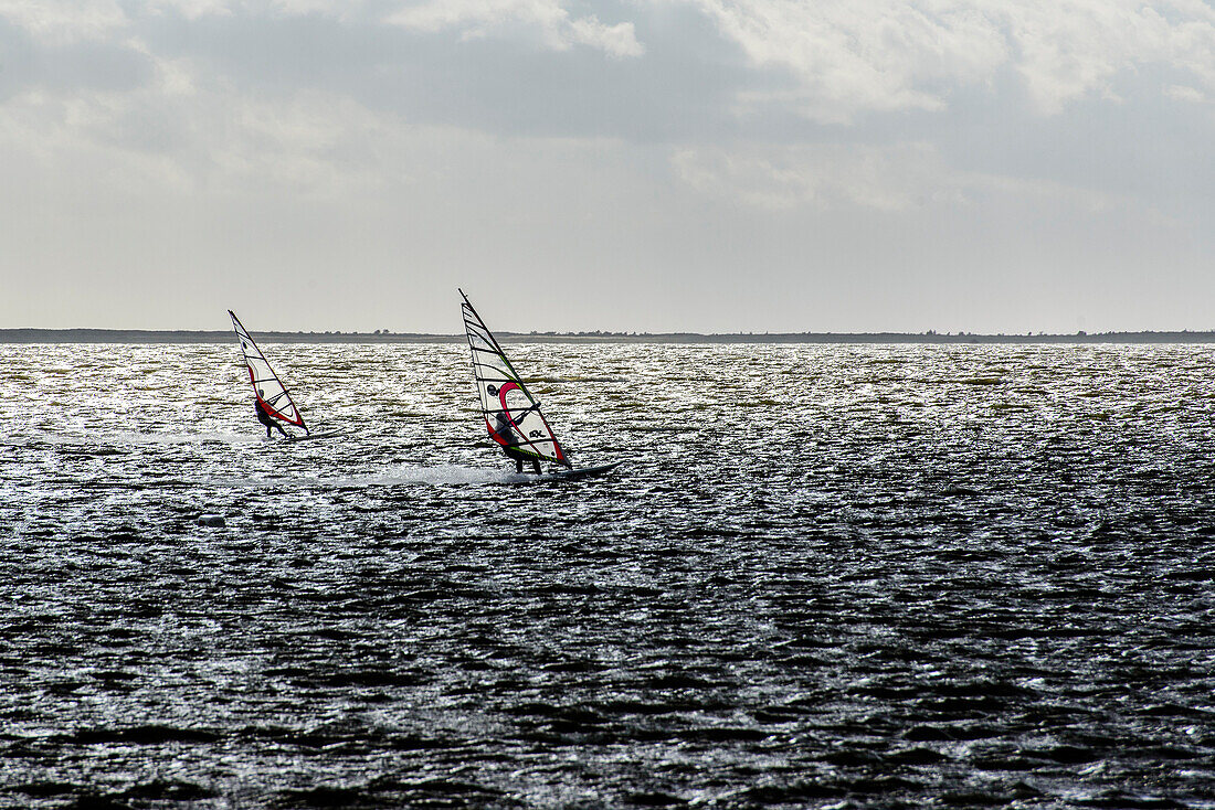 Kitesurfing and windsurfing on Ummanz, Rügen, Ostseeküste, Mecklenburg-Western Pomerania, Germany