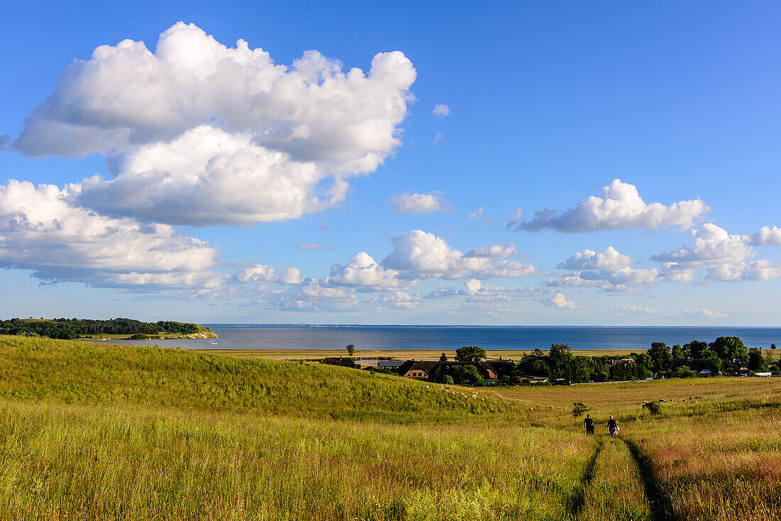 View from the Bakenberg, Moenchgut, Rügen, Ostseeküste, Mecklenburg-Western Pomerania, Germany