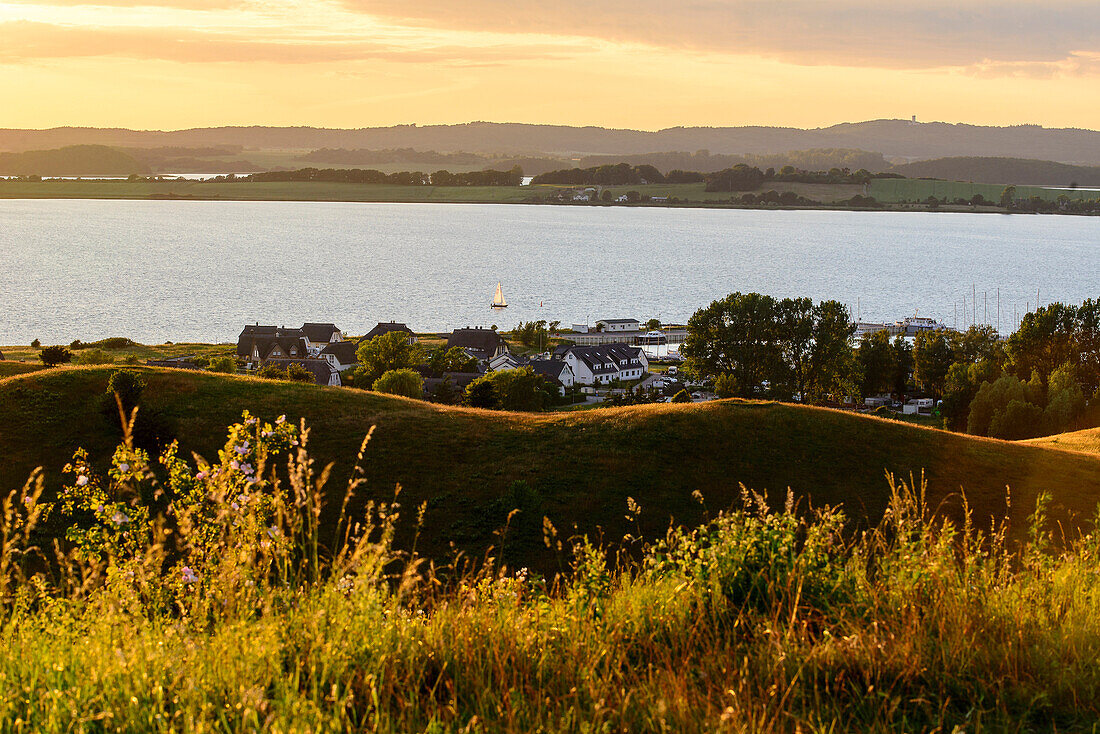 Blick vom Bakenberg, Moenchgut, Rügen, Ostseeküste, Mecklenburg-Vorpommern, Deutschland