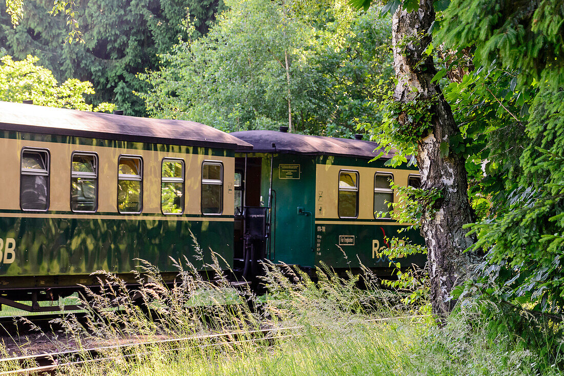 Dampfeisenbahn Rasender Roland, Rügen, Ostseeküste, Mecklenburg-Vorpommern, Deutschland