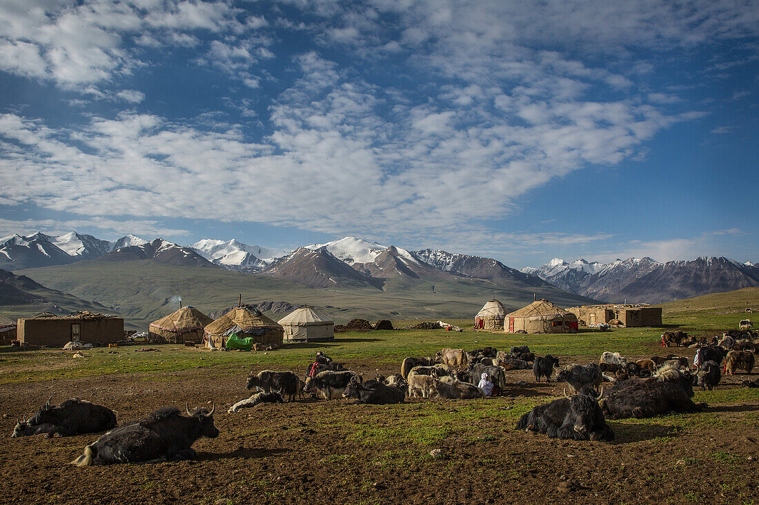 Khash Goz village with yurts and yaks, Afghanistan, Pamir, Asia