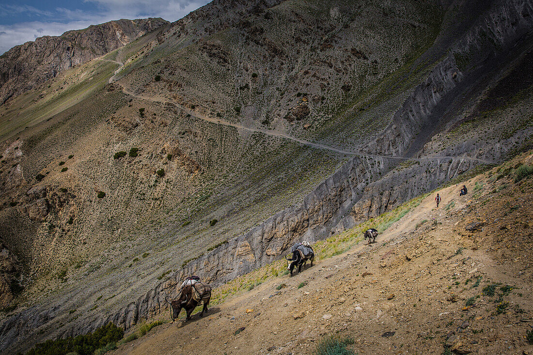 Trekking and trading on the old trade route to China, Wakhan, Pamir, Afghanistan, Asia