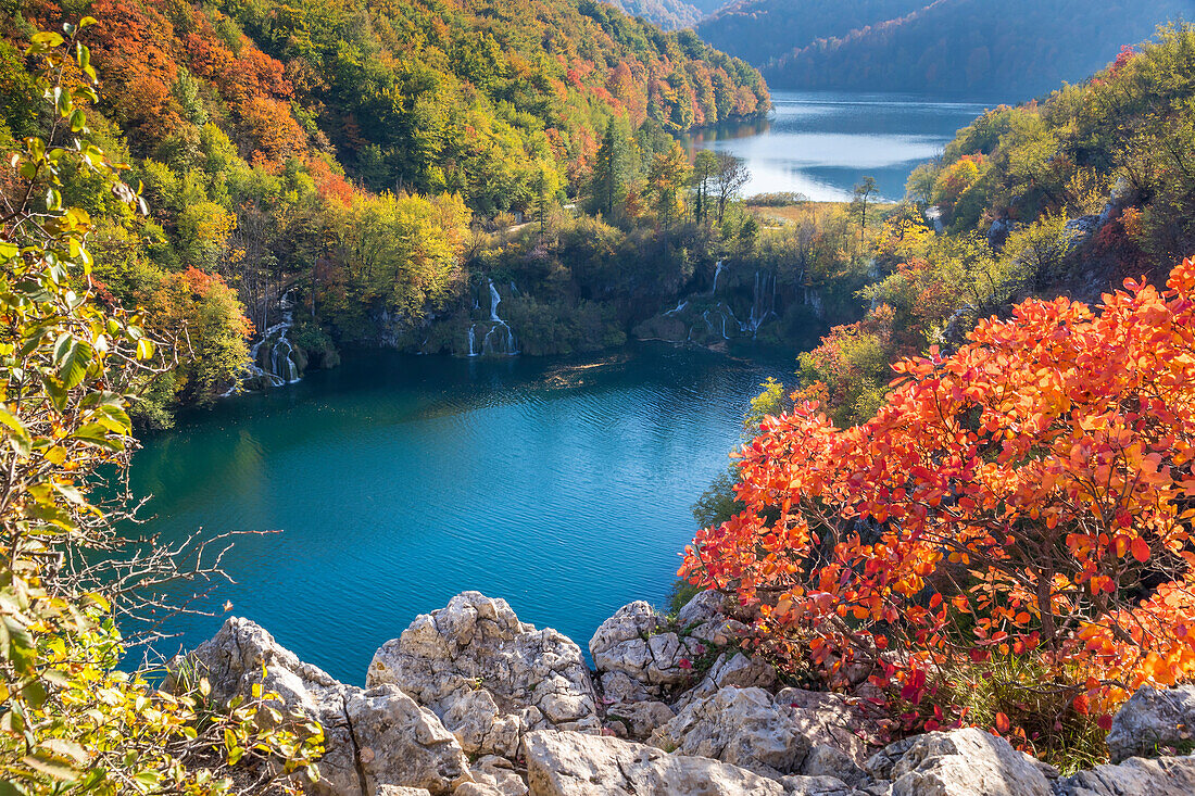 Elevated view from a lookout over the Lower Lakes inside Plitvice Lakes National Park, UNESCO World Heritage Site, Croatia, Europe