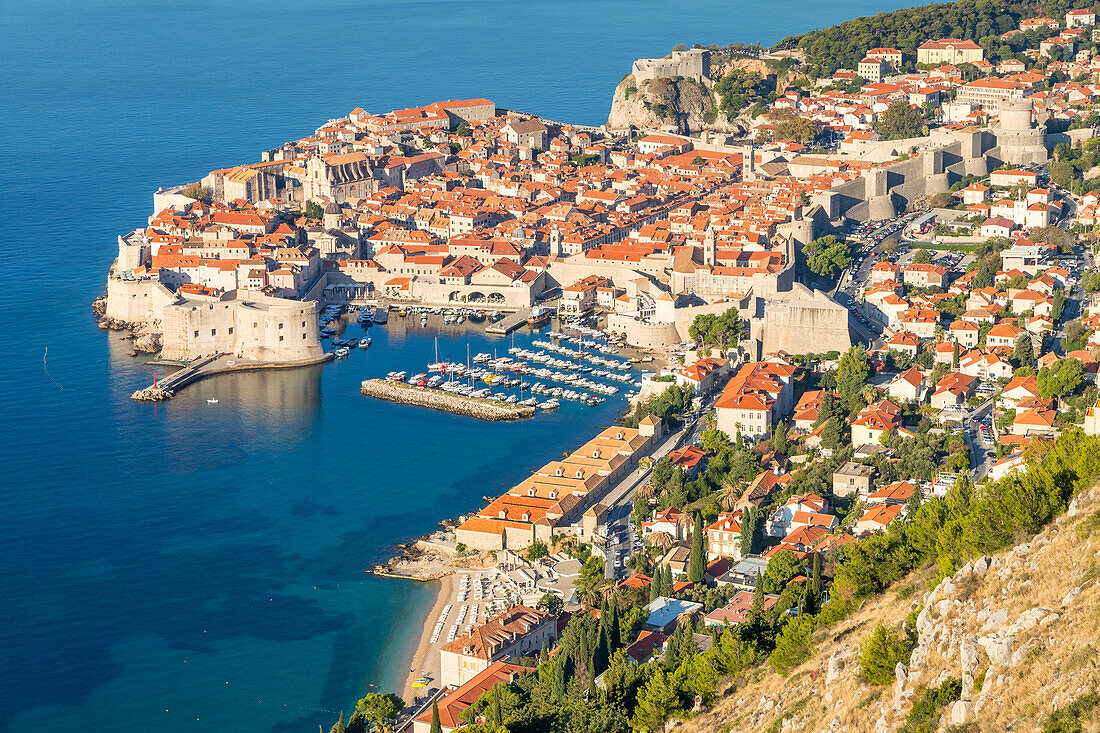 Elevated view over the old town of Dubrovnik, UNESCO World Heritage Site, Croatia, Europe