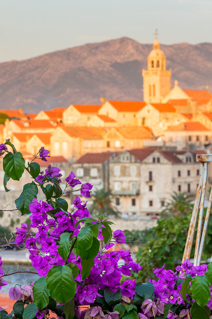 Elevated view to the old town of Korcula, Croatia, Europe