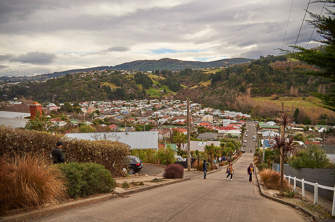 Tourists at Baldwin Street, the world's steepest residential road with an average gradient of 1 in 5 and 350 metres long, Dunedin, Otago, South Island, New Zealand, Pacific