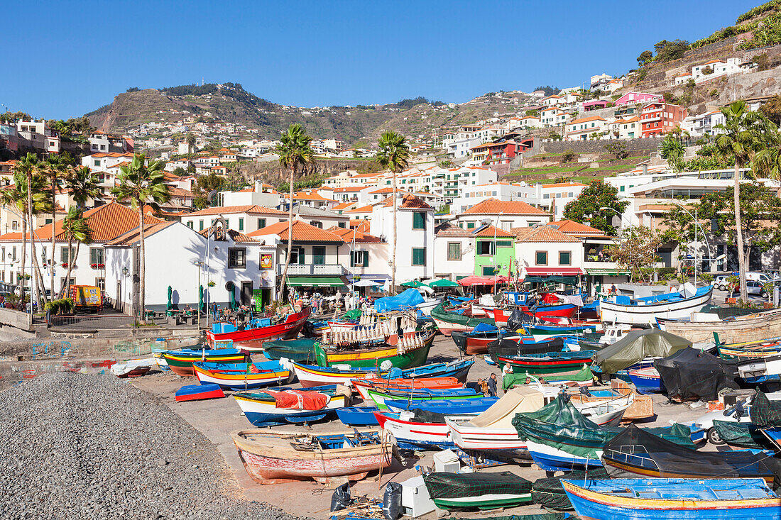 Traditional colourful fishing boats on the beach in Camara de Lobos fishing village, Madeira, Portugal, Atlantic, Europe