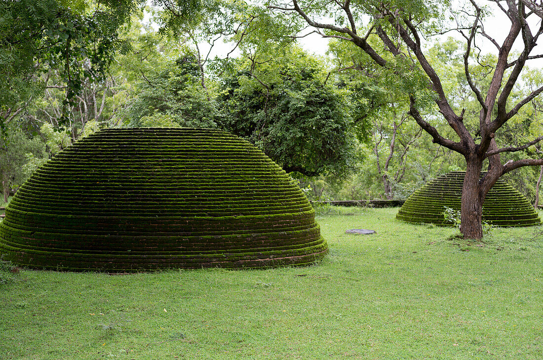 A moss covered dagoba dome in the Kiri Vihara temple ruins at Polonnaruwa, UNESCO World Heritage Site, Sri Lanka, Asia