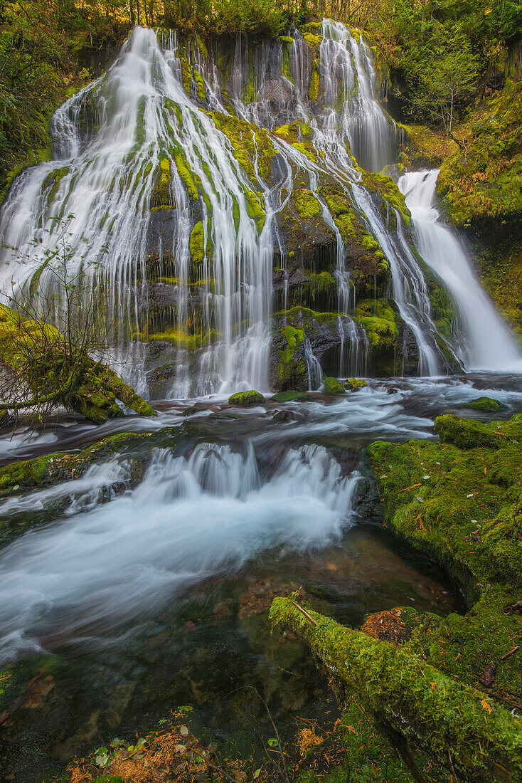 Panther Falls, Columbia River Gorge, Washington