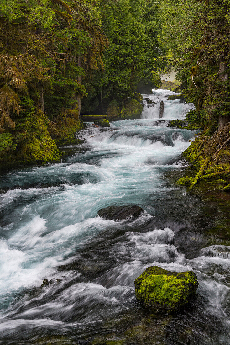 River in gorge, McKenzie River, Oregon