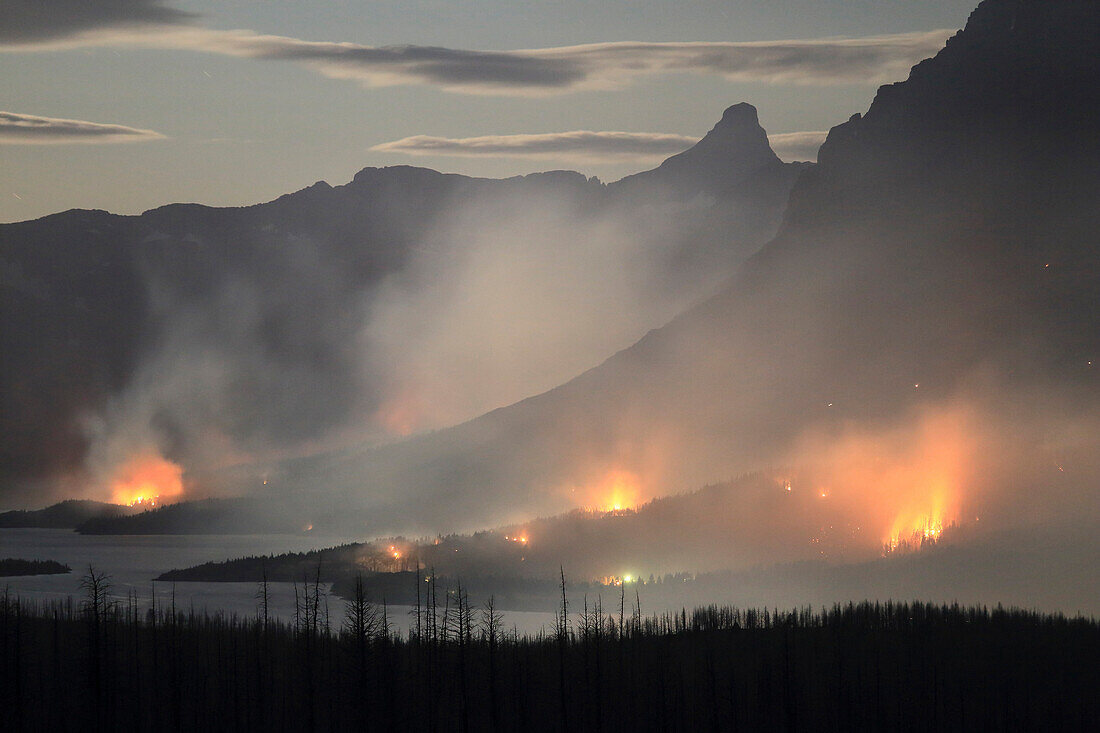 Forest fire at night, Glacier National Park, Montana