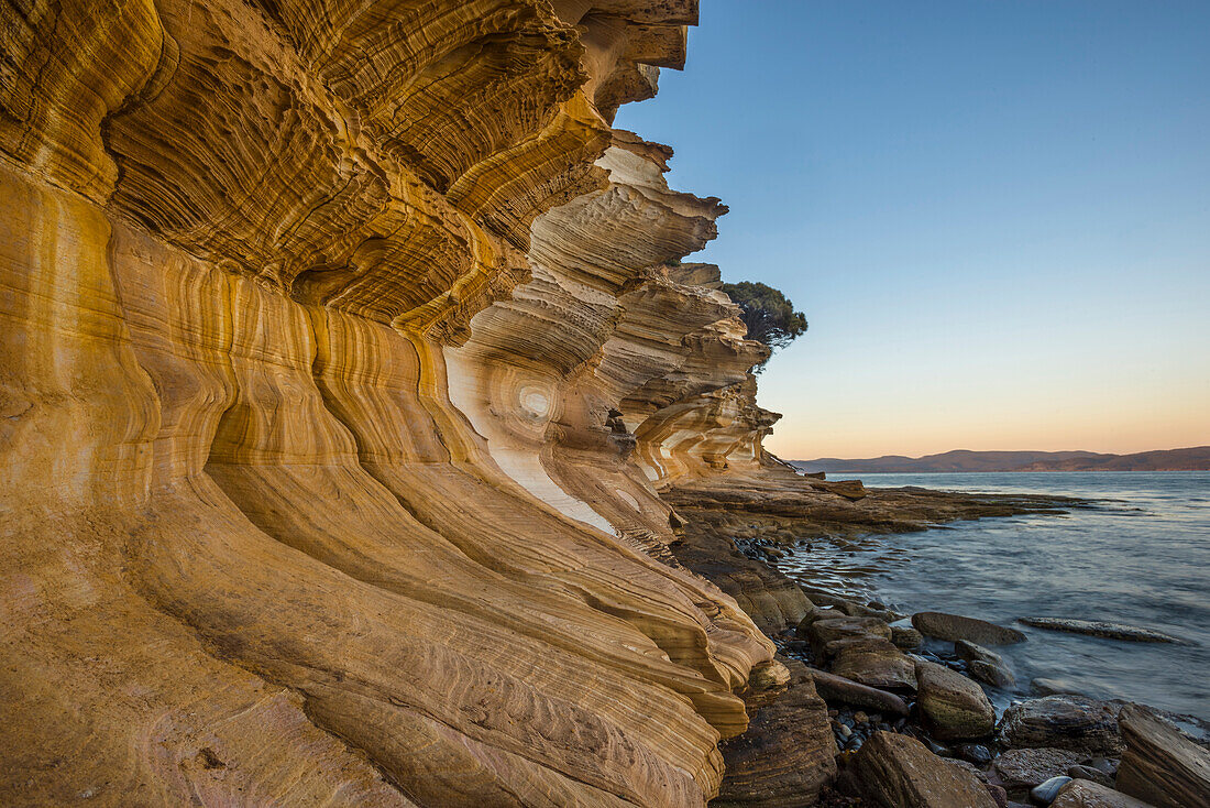 Coastal sandstane cliffs undercut by wave action, Painted Cliffs, Maria Island National Park, Tasmania, Australia