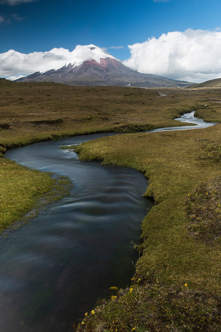 Alpine creek near volcano, Cotopaxi Volcano, Cotopaxi National Park, Andes, Ecuador