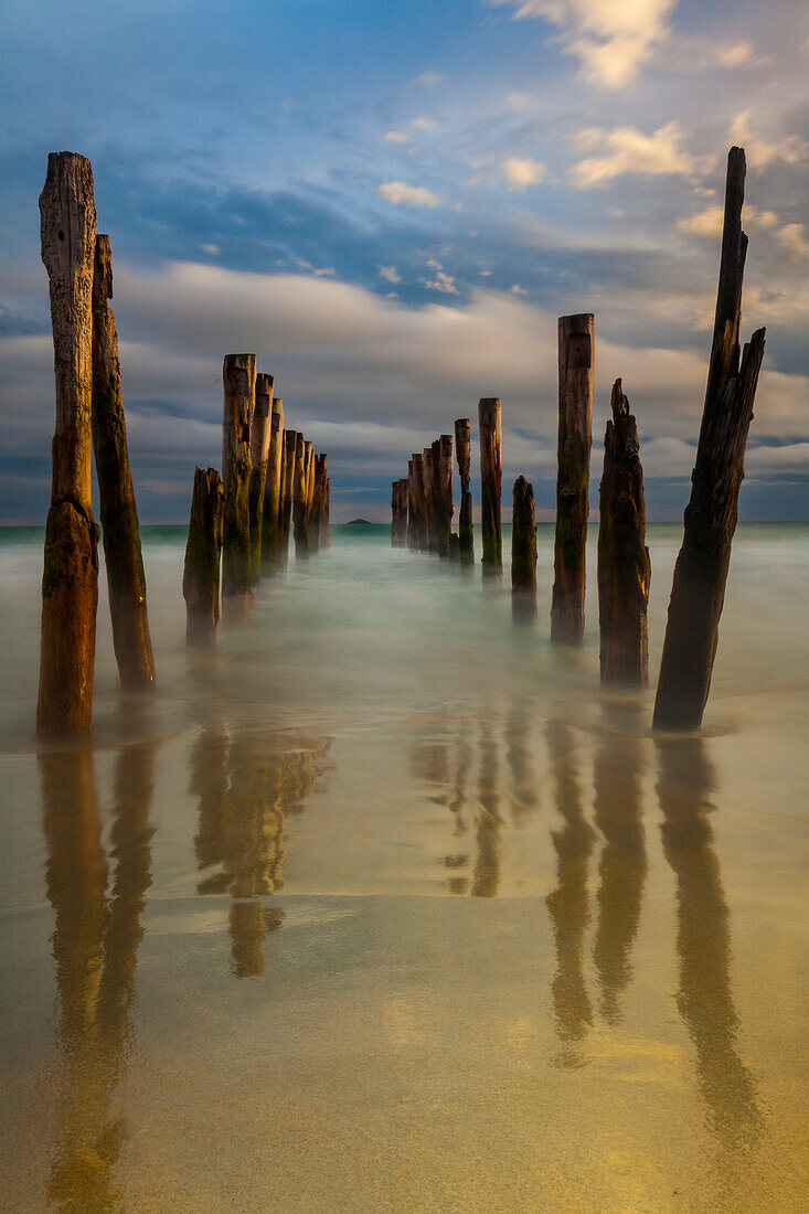 Old wharf pilings, Dunedin, Otago, South Island, New Zealand