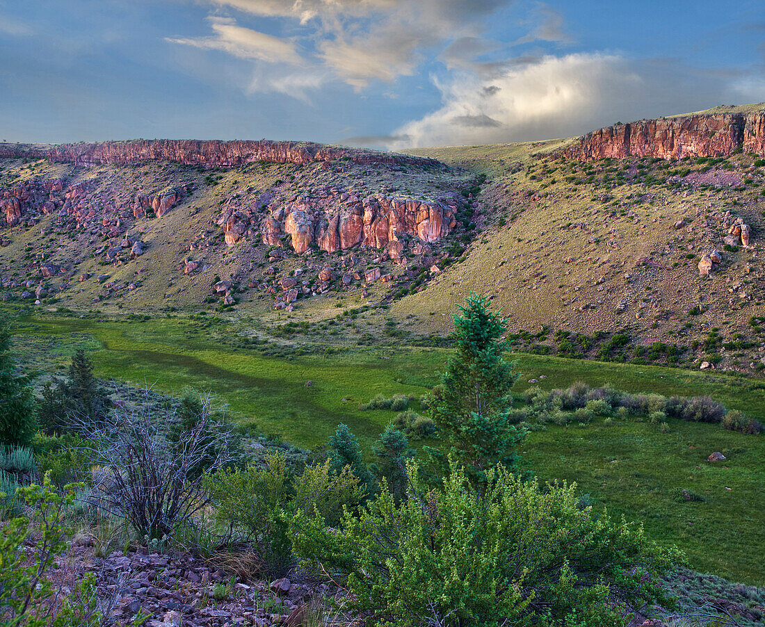 Lush valley, Cochetopa Hills, Rio Grande National Forest, Colorado