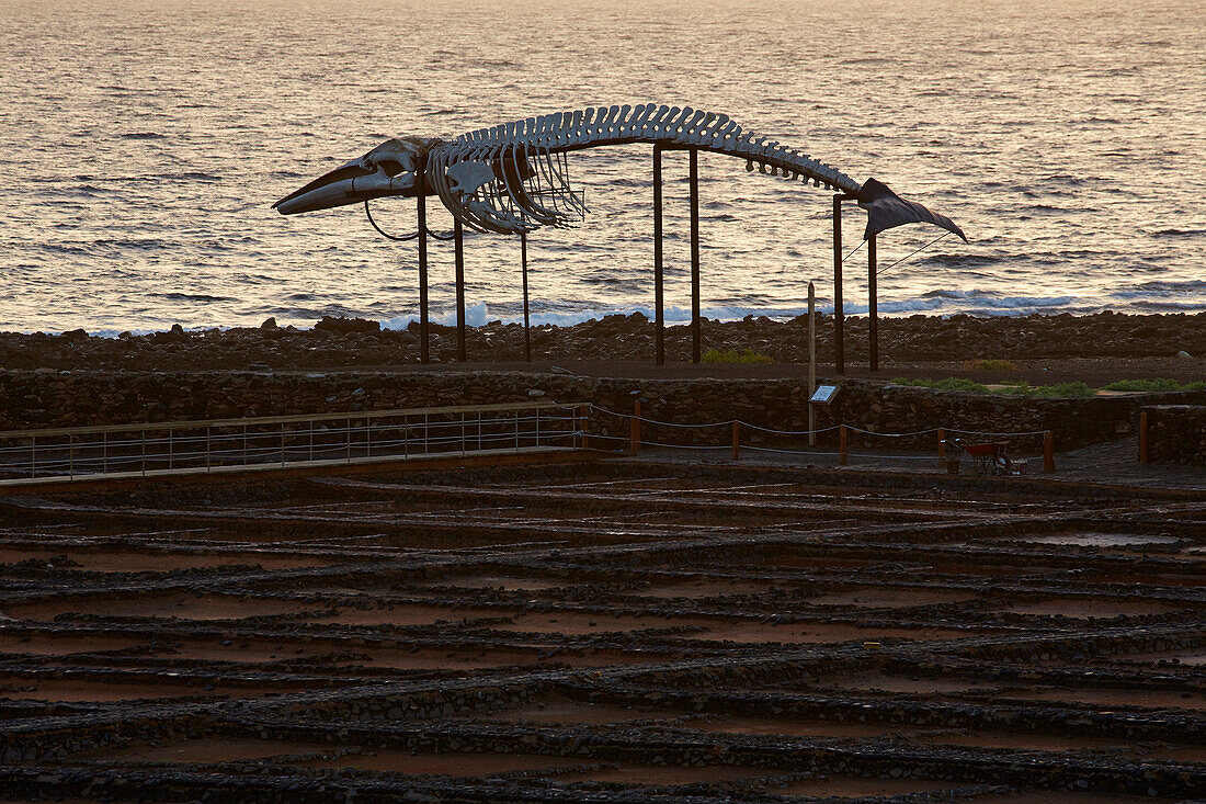 Sonnenaufgang am Salzmuseum in Las Salinas bei Caleta de Fustes, Fuerteventura, Kanaren, Kanarische Inseln, Islas Canarias, Atlantik, Spanien, Europa