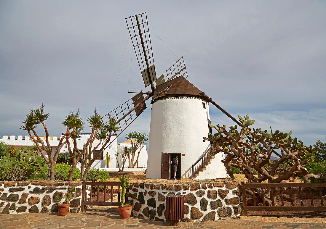Mühle im Freilichtmuseum Museo del Queso Majorero und Molino de Antigua, Antigua, Fuerteventura, Kanaren, Kanarische Inseln, Islas Canarias, Atlantik, Spanien, Europa