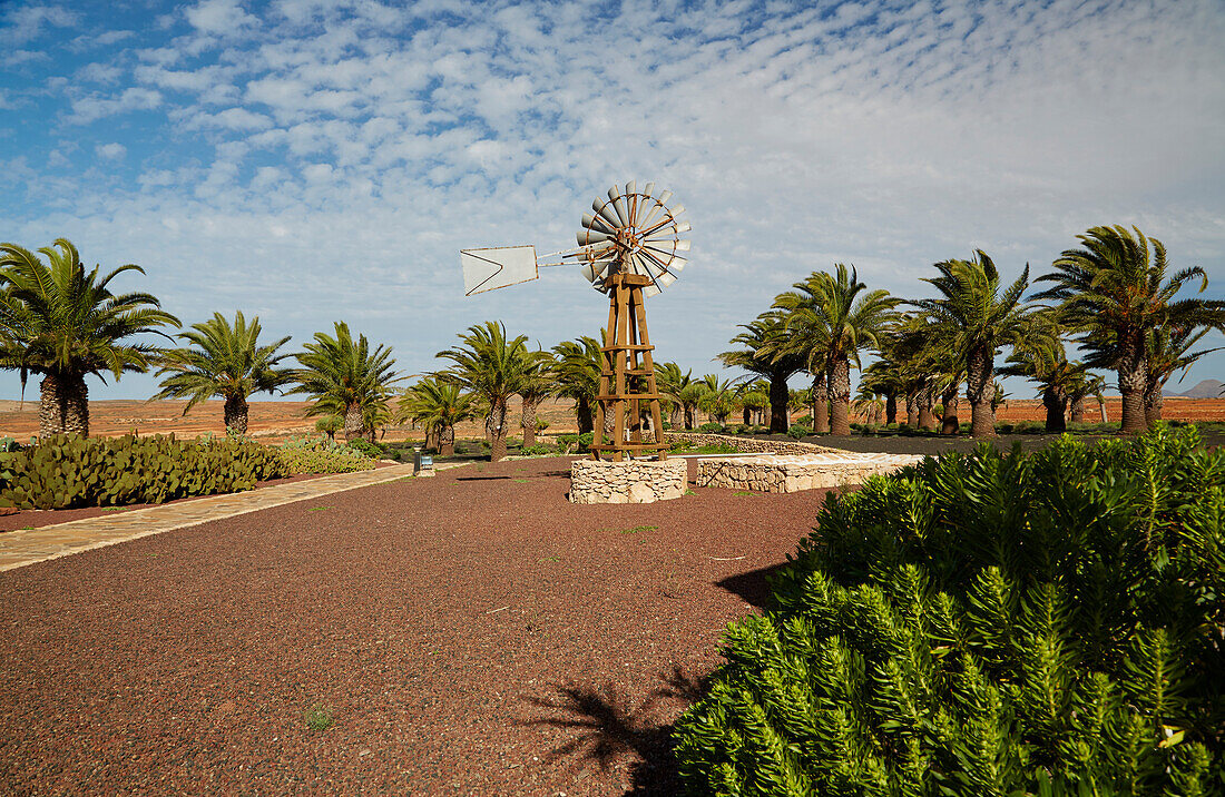Palmen und Brunnen mit Wasserrad im Museo del Queso Majorero und Molino de Antigua, Antigua, Fuerteventura, Kanaren, Kanarische Inseln, Islas Canarias, Atlantik, Spanien, Europa