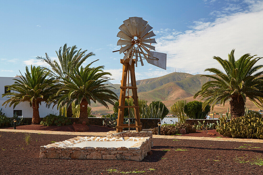 Palmen und Brunnen mit Wasserrad im Museo del Queso Majorero und Molino de Antigua, Antigua, Fuerteventura, Kanaren, Kanarische Inseln, Islas Canarias, Atlantik, Spanien, Europa