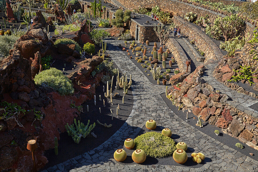 Kaktusgarten bei Guatiza, Jardín de Cactus, César Manrique, Lanzarote, Kanaren, Kanarische Inseln, Islas Canarias, Spanien, Europa