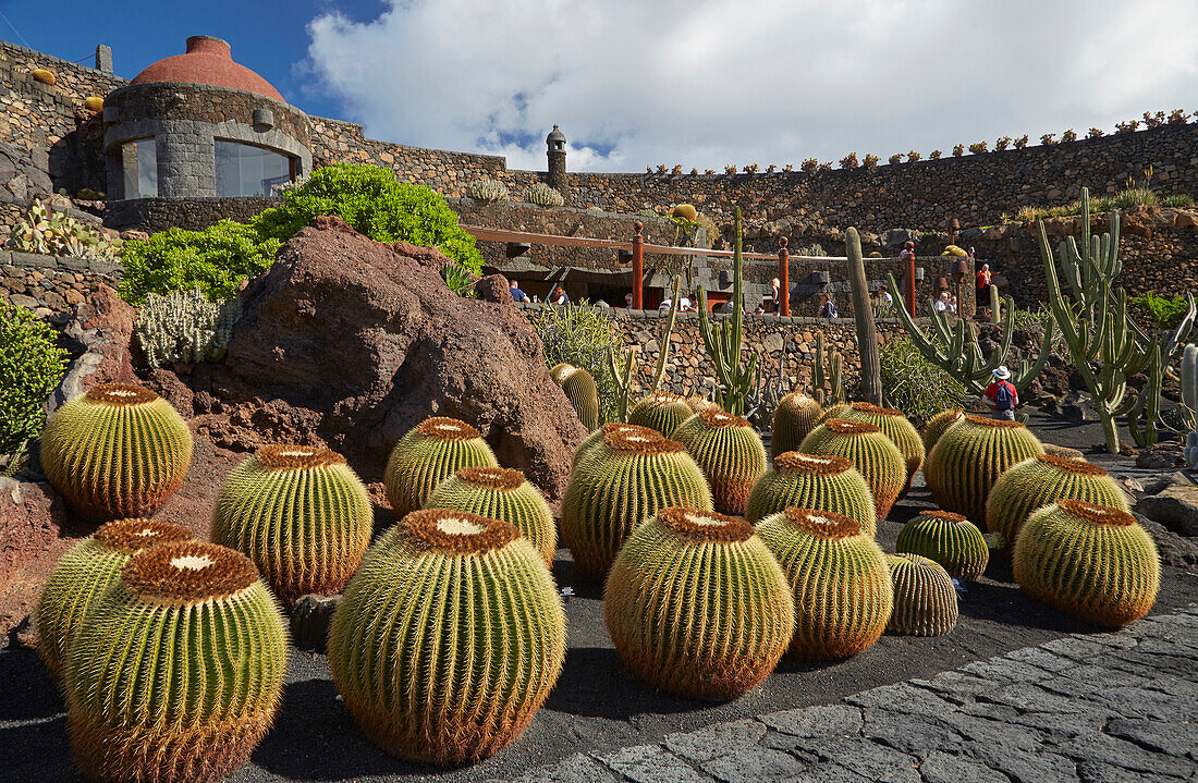 Kaktusgarten bei Guatiza, Jardín de Cactus, César Manrique, Lanzarote, Kanaren, Kanarische Inseln, Islas Canarias, Spanien, Europa