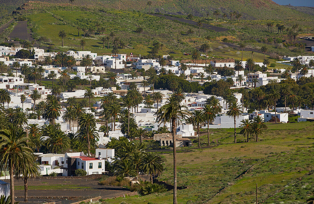 Village of Haria in the valley Valle de las diez mil palmeras, Lanzarote, Canary Islands, Islas Canarias, Spain, Europe