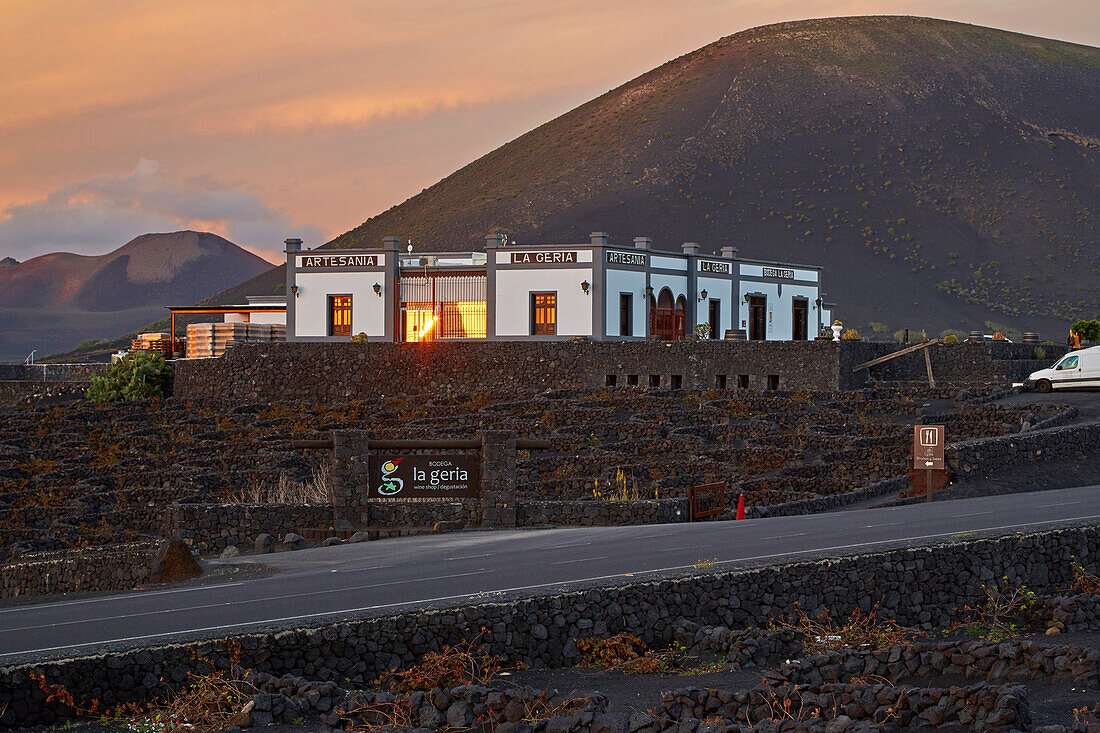 Weinbaugebiet La Geria am Fuß der Feuerberge, Lanzarote, Kanaren, Kanarische Inseln, Islas Canarias, Spanien, Europa