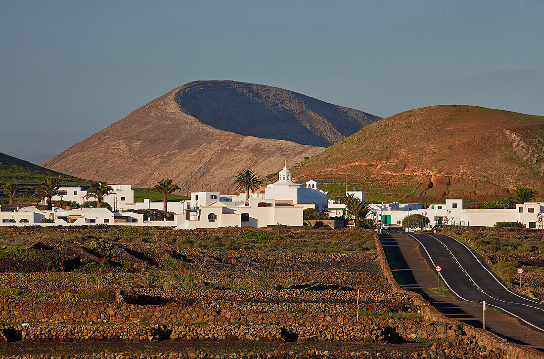 Caldera Blanca and Mancha Blanca in the morning, Lanzarote, Canary Islands, Islas Canarias, Spain, Europe